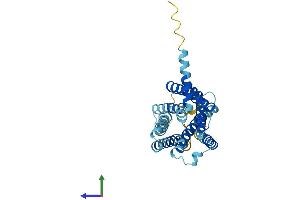 AlphaFold protein structure predicition of Mouse Recombinant Gpr31 Protein, UniprotID F8VQN3 (GPR31 Protein (AA 1-319) (His tag))