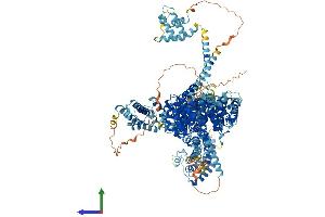 Protein Structure (PS) image for Non-SMC Condensin I Complex, Subunit D2 (NCAPD2) (AA 1-1392) protein (His tag) (ABIN7564643)