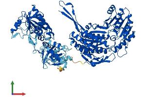 AlphaFold protein structure predicition of Mouse Recombinant Aldh1l1 Protein, UniprotID Q8R0Y6