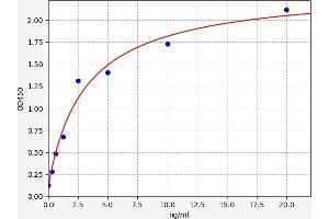 Typical standard curve (KCNA5 ELISA 试剂盒)