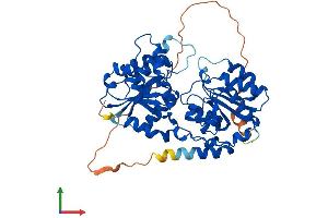 Protein Structure (PS) image for Glycosyltransferase-Like Domain Containing 1 (GTDC1) (AA 1-445) protein (His tag) (ABIN7558949)
