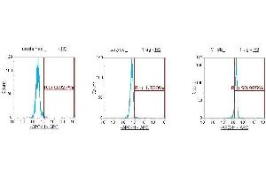 Flow Cytometry (FACS) image for anti-Cathepsin E (CTSE) (AA 57-363) antibody (APC) (ABIN5565230) (Cathepsin E 抗体  (AA 57-363) (APC))