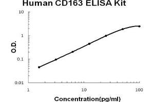 Human CD163 PicoKine ELISA Kit standard curve (CD163 ELISA 试剂盒)