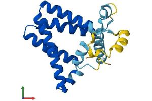 AlphaFold protein structure predicition of Mouse Recombinant Praf2 Protein, UniprotID Q9JIG8