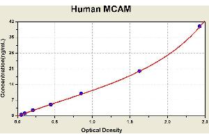 Diagramm of the ELISA kit to detect Human MCAMwith the optical density on the x-axis and the concentration on the y-axis. (MCAM ELISA 试剂盒)