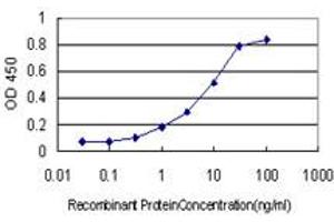 Detection limit for recombinant GST tagged PLAU is approximately 0. (PLAU 抗体  (AA 16-115))