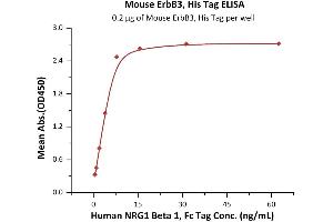 ELISA image for Receptor Tyrosine-Protein Kinase ErbB-3 (ERBB3) (AA 20-641) (Active) protein (His tag) (ABIN7013406)