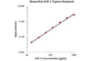 ELISA image for Insulin-Like Growth Factor 1 (IGF1) ELISA Kit (ABIN3198551) (IGF1 ELISA 试剂盒)