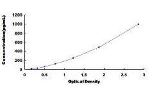 Arrestin, beta 2 (ARRB2) ELISA Kit