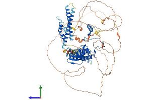 Protein Structure (PS) image for CCR4-NOT Transcription Complex, Subunit 3 (CNOT3) (AA 1-751) protein (His tag) (ABIN7564618)