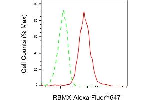 Flow cytometric analysis of RBMX expression in HepG2 cells using RBMX antibody (ABIN7800256), 1:2,000).