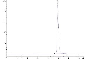 PLA2G1B Protein (AA 23-148) (His tag)