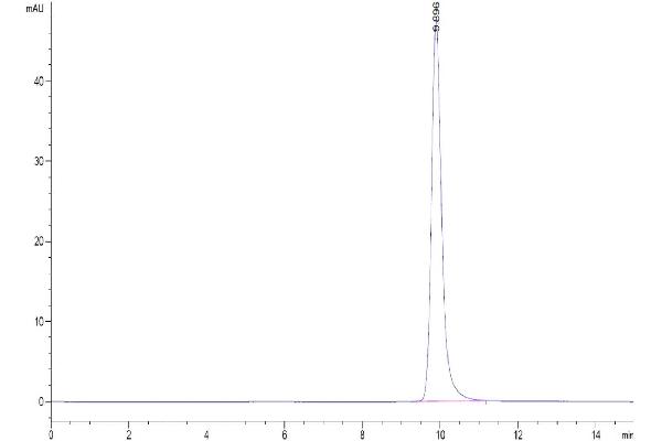 PLA2G1B Protein (AA 23-148) (His tag)