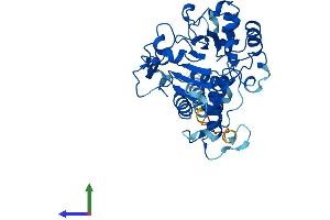 Protein Structure (PS) image for ST3 beta-Galactoside alpha-2,3-Sialyltransferase 3 (ST3GAL3) (AA 1-374) protein (His tag) (ABIN7556783)