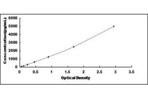 Typical standard curve (INHBC ELISA 试剂盒)