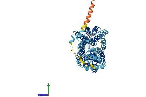 Protein Structure (PS) image for Organic Cation Transporter 3 (OCT3) (AA 1-551) protein (His tag) (ABIN7556251)