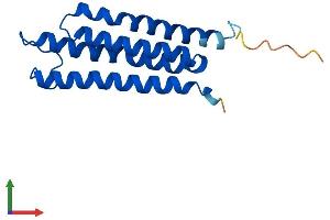 Protein Structure (PS) image for Microsomal Glutathione S-Transferase 3 (MGST3) (AA 1-152) protein (His tag) (ABIN7549387)
