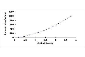 Typical standard curve