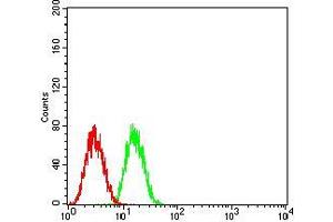 Flow cytometric analysis of HepG2 cells using GLI1 mouse mAb (green) and negative control (red). (GLI1 抗体  (AA 284-449))