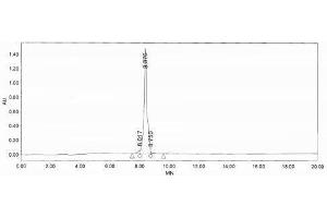 Image no. 2 for Interleukin 7 (IL7) peptide (Ovalbumin) (ABIN5666245)