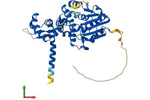 Protein Structure (PS) image for Acetylserotonin O-Methyltransferase (ASMT) (AA 1-387) protein (His tag) (ABIN7562084)