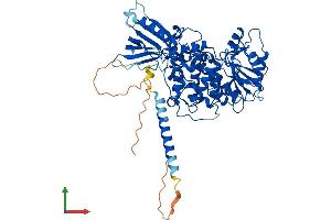AlphaFold protein structure predicition of Human Recombinant MTM1 Protein, UniprotID Q13496