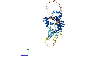 AlphaFold protein structure predicition of Human Recombinant MTCH1 Protein, UniprotID Q9NZJ7