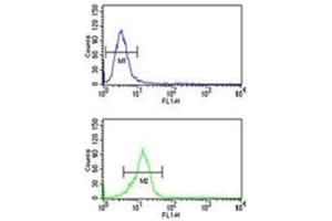 Flow Cytometry (FACS) image for anti-Oligodendrocyte Transcription Factor 3 (OLIG3) (AA 74-100) antibody (ABIN3028898)