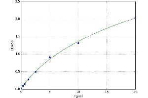 Surfactant Associated Protein G (SFTA2) ELISA Kit