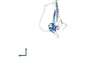 Protein Structure (PS) image for Sperm Associated Antigen 4 (SPAG4) (AA 1-443) protein (His tag) (ABIN7561586)