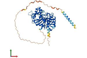 Protein Structure (PS) image for Glucoside Xylosyltransferase 2 (GXYLT2) (AA 1-443) protein (His tag) (ABIN7548140)