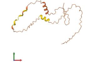 AlphaFold protein structure predicition of Human Recombinant SMCR5 Protein, UniprotID Q8TEV8