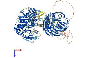 AlphaFold protein structure predicition of Human Recombinant AASDH Protein, UniprotID Q4L235 (AASDH Protein (AA 1-1098) (His tag))