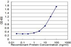 Detection limit for recombinant GST tagged TSPAN2 is approximately 1ng/ml as a capture antibody. (Tetraspanin 2 抗体  (AA 112-187))