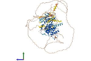 AlphaFold protein structure predicition of Human Recombinant EPB41 Protein, UniprotID P11171