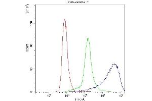 Flow Cytometry analysis of Hela cells using anti-PPP1R12A antibody (ABIN3043902).
