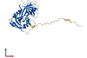 Protein Structure (PS) image for Nudix (Nucleoside Diphosphate Linked Moiety X)-Type Motif 17 (NUDT17) (AA 1-328) protein (His tag) (ABIN7550034)