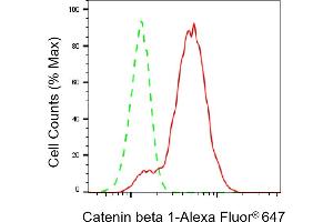 Flow cytometric analysis of Catenin beta 1 expression in C2C12 cells using Catenin beta 1 antibody (ABIN7797926), 1:2,000). (CTNNB1 抗体)