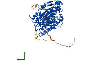 Protein Structure (PS) image for 3-Hydroxy-3-Methylglutaryl-CoA Synthase 1 (Soluble) (HMGCS1) (AA 1-520) protein (His tag) (ABIN7548285)
