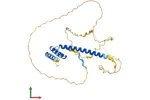 Protein Structure (PS) image for Atonal Homolog 8 (ATOH8) (AA 1-322) protein (His tag) (ABIN7564915)