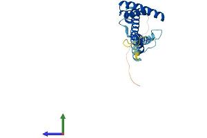 AlphaFold protein structure predicition of Mouse Recombinant Timm22 Protein, UniprotID Q9CQ85