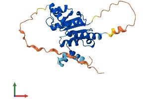 Protein Structure (PS) image for SRR1 Domain Containing (SRRD) (AA 1-249) protein (His tag) (ABIN7559511)
