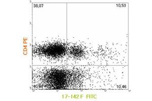 FACS: Human PBMCs were cultured with recombinant IL-1β, TGF-β, and IL-6 for 4 days. (Interleukin 17a 抗体  (FITC))