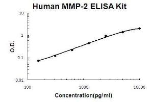 Human MMP-2 PicoKine ELISA Kit standard curve