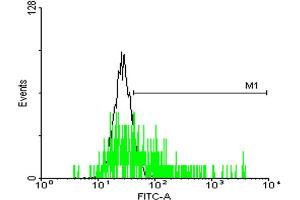FACS analysis of negative control 293 cells (Black) and MRGPRX2 expressing 293 cells (Green) using MRGPRX2 purified MaxPab mouse polyclonal antibody. (MRGPRX2 抗体  (AA 1-330))