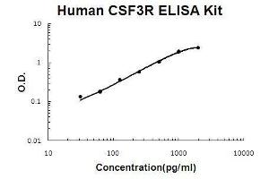 Human CSF3R/G-CSF R PicoKine ELISA Kit standard curve