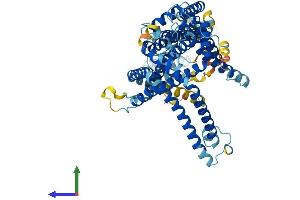Protein Structure (PS) image for Solute Carrier Family 44, Member 4 (SLC44A4) (AA 1-710) protein (His tag) (ABIN7546848)