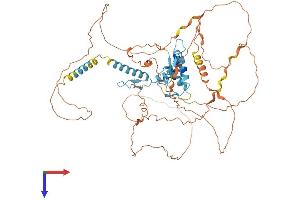 GLIS1 Protein (AA 1-620) (His tag)