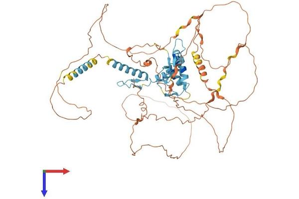 GLIS1 Protein (AA 1-620) (His tag)