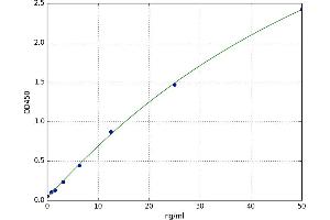 Peroxiredoxin 5 (PRDX5) ELISA Kit